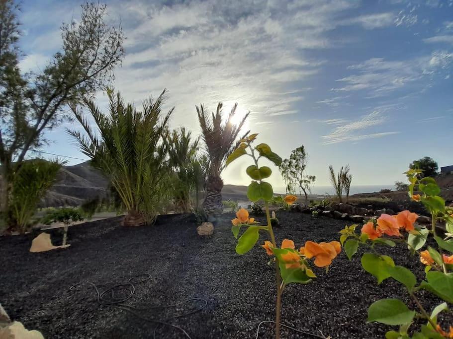 Casagrande Sunset II - Fuerteventura - Costa Calma Villa Pájara Eksteriør billede